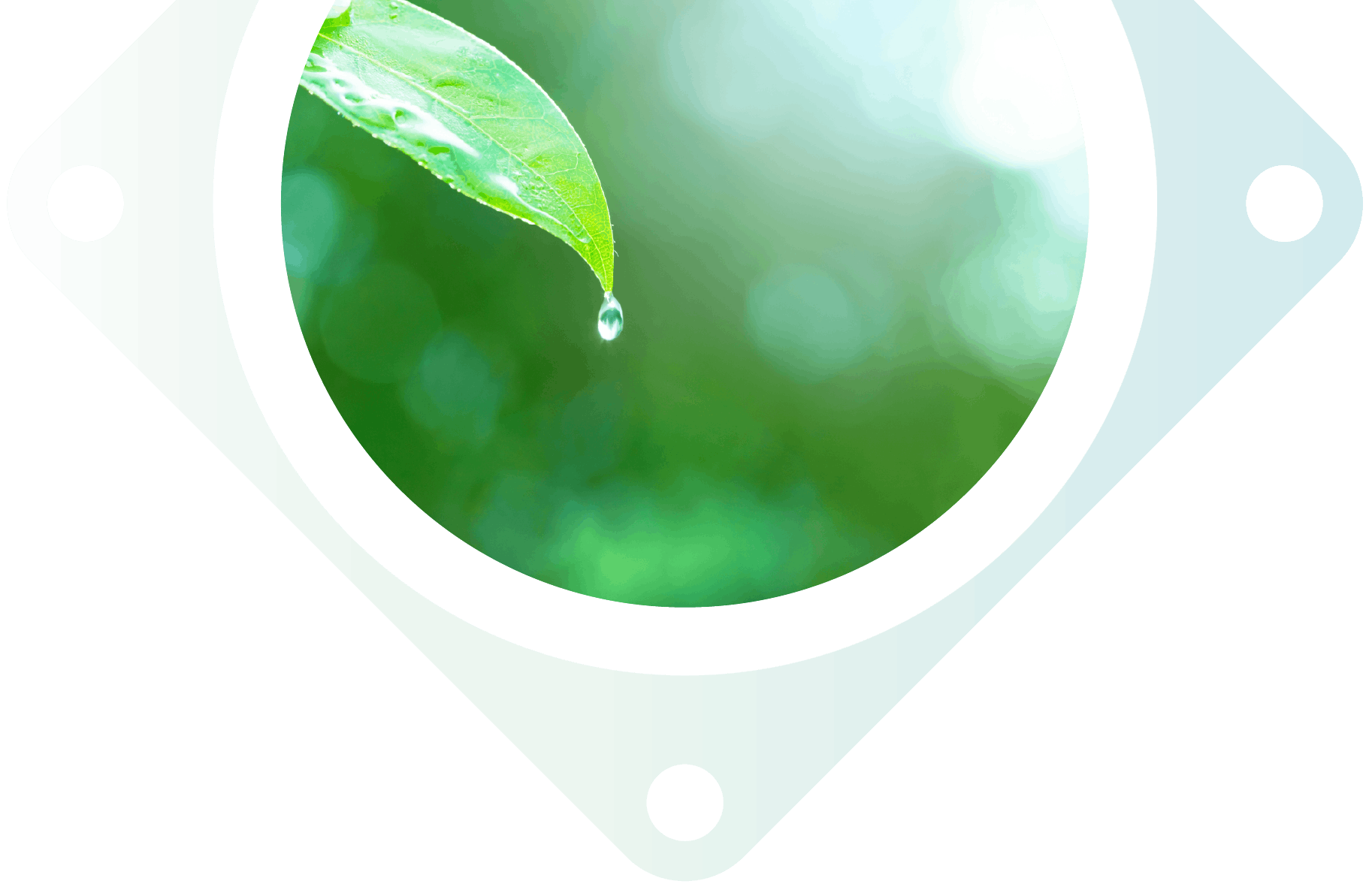 インナーページTOP飾り