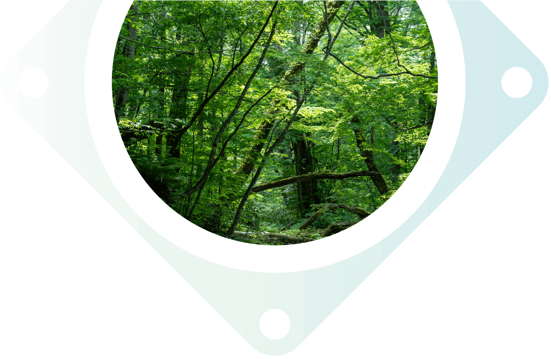 インナーページTOP飾り